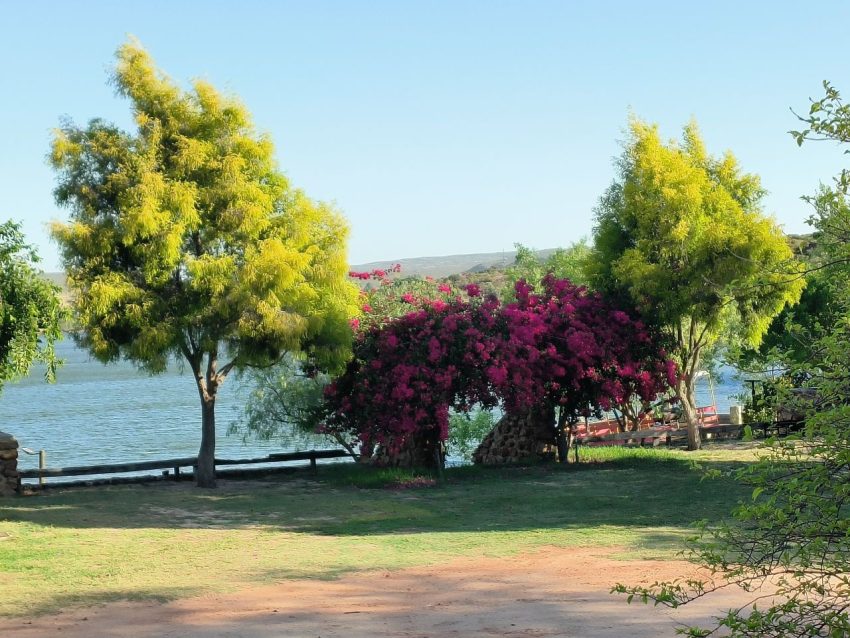 arche de fleurs camping Rondeberg