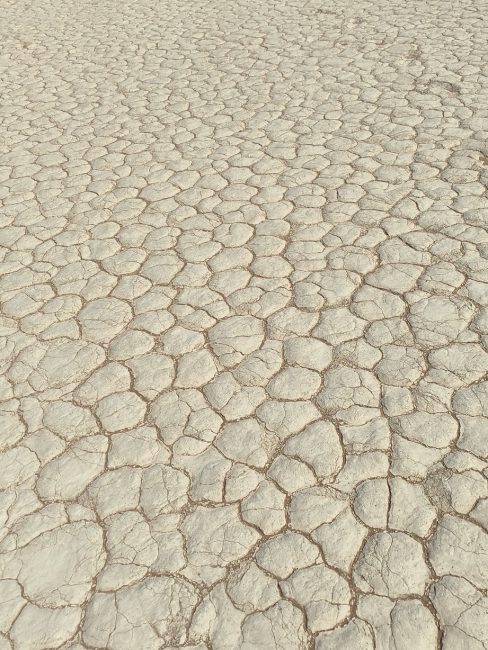 terre sèche de Deadvlei