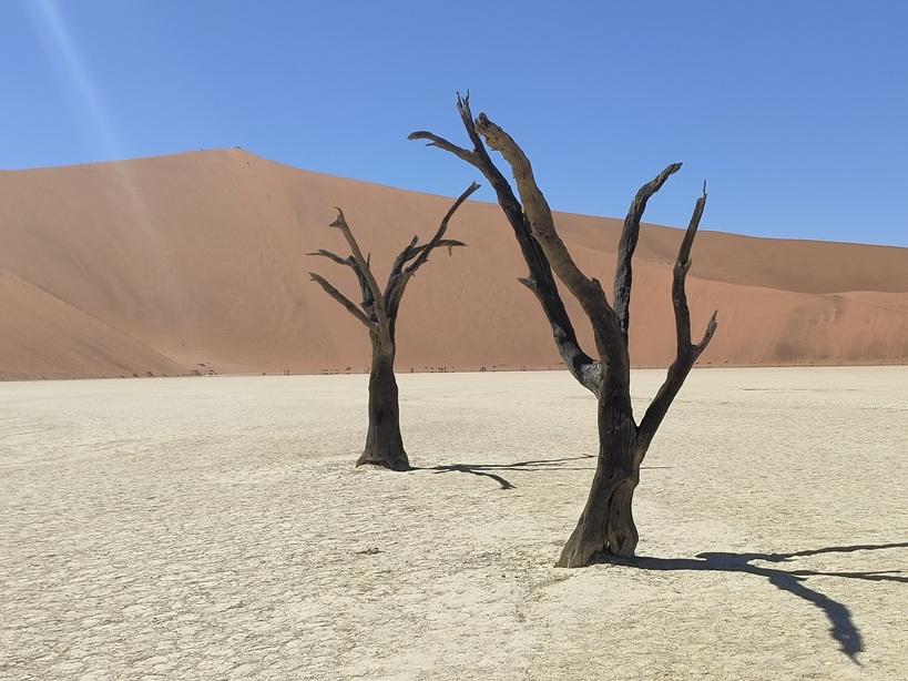 Deadvlei