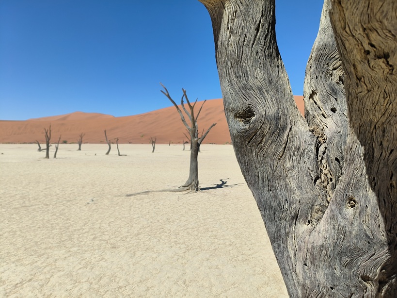 Deadvlei